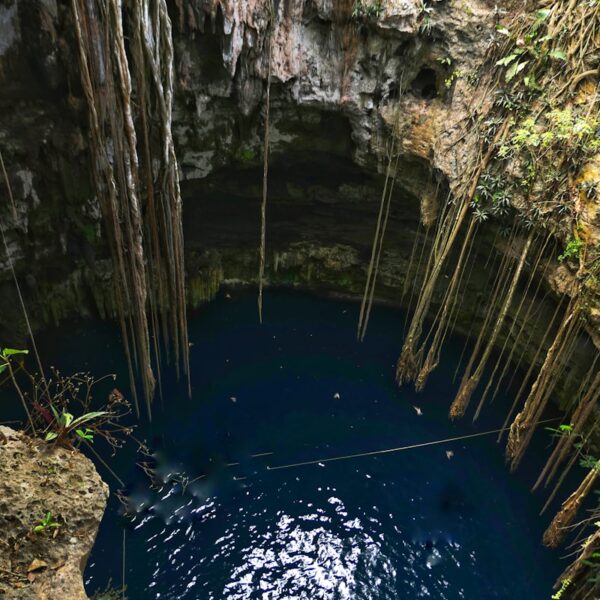 a blue pool in the middle of a jungle